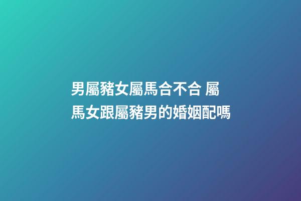 男屬豬女屬馬合不合 屬馬女跟屬豬男的婚姻配嗎-第1張-觀點-玄機派